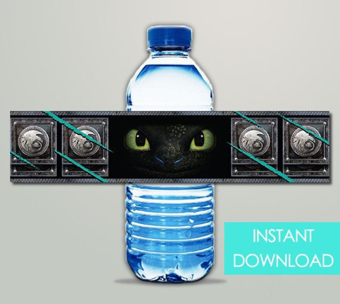 How To Train Your Dragon Bottle Labels INSTANT DOWNLOAD Etsy