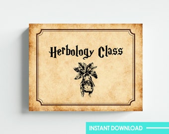 Wizard Theme Mandrake Herbology Class Sign Poster Digital Download 8.5x11 Ledger Printable DIY Instant Download