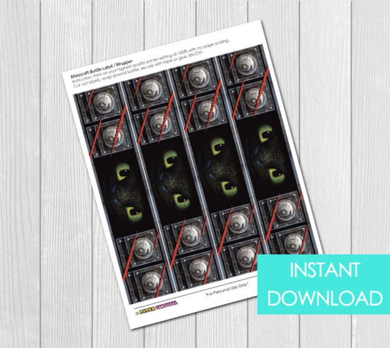 How To Train Your Dragon Bottle Labels INSTANT DOWNLOAD Etsy