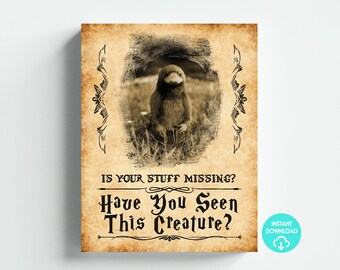 Zauberer Thema Have You Seen This Creature Zeichen Party Dekor Wand Kunst Digital Download Letter Größe 8,5 x 11 Printable DIY Sofortiger Download