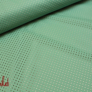 Può includere: Un tessuto verde chiaro con un motivo ripetitivo di piccoli fori spaziati uniformemente. Il tessuto ha una leggera lucentezza e una texture morbida.