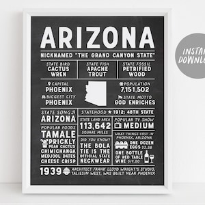 Arizona State Wall Art Sign Poster Infographic, Chalkboard Arizona Map, Phoenix US States, Men&#39;s Gift, State Facts, Housewarming Gift