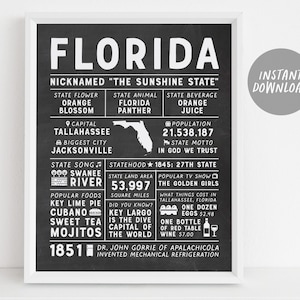 Florida State Wall Art Sign Poster Infographic, Krijtbord Florida Kaart, Tallahassee, Amerikaanse Staten, Mannen Cadeau, Staat Feiten, Housewarming Gift