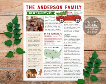 Christmas Newsletter Editable Template, Year In Review Family Update, Year at a Glance, Xmas Post With Photo, Holiday Letter Infographic