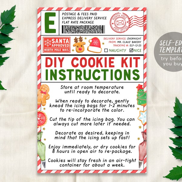 Christmas DIY Cookie Kit Instructions Card Editable Template, Holiday Cookie Decoration Kit Gift Tag Printable, Special Delivery Santa Mail