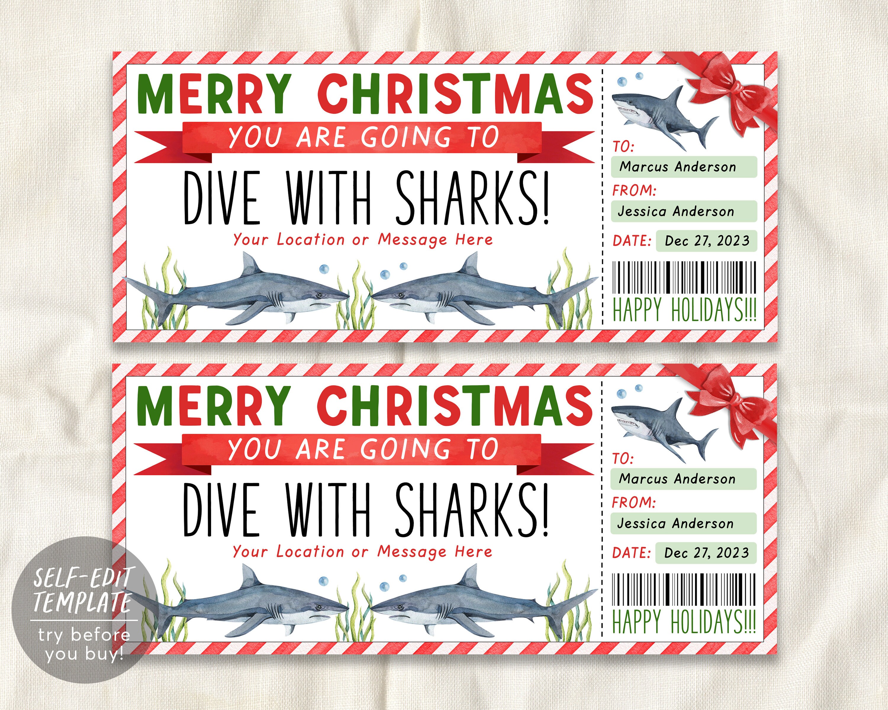 Christmas Dive With Sharks Ticket Editable Template, Surprise Cage Diving Experience Gift Voucher Scuba Diving Trip Gift Certificate Coupon