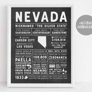 Nevada staat muur kunst bord poster infographic, schoolbord kaart Nevada, Las Vegas, Amerikaanse staten, staat feiten, vriend verplaatsen gaat weg geschenken