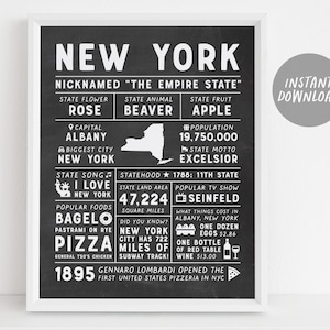 Affiche d'art mural de l'État de New York, infographie, carte de New York, New York City New York, États-Unis, cadeau pour homme, faits sur l'État, cadeau de pendaison de crémaillère