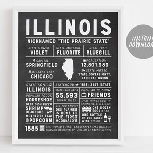 Póster con cartel de arte mural del estado de Illinois, infografía, mapa de Illinois en pizarra, Chicago Springfield, estados de EE. UU., datos del estado, regalo para papá