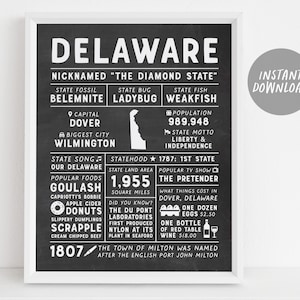 Delaware State Wall Art Sign Poster Infografik, Tafel Delaware Map, Wilmington Dover, US Bundesstaaten, State Facts, Geschenke für Männer, Freund, Dad