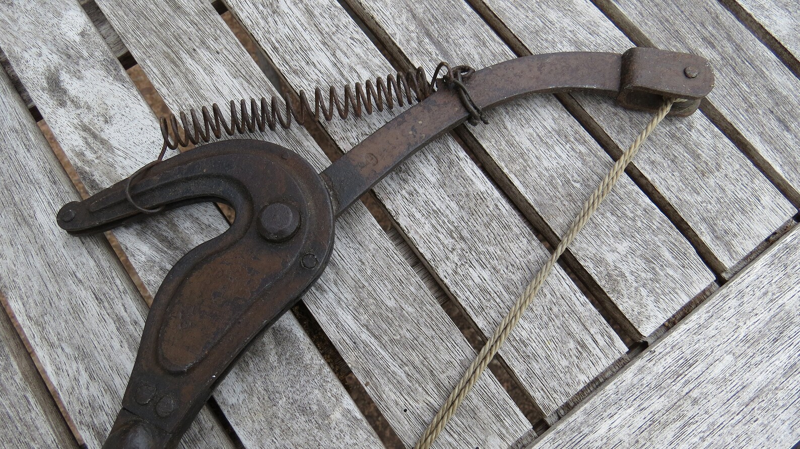 Vintage Tree Pruner/ RARE French Pruner Antique Bamboo & Iron Etsy