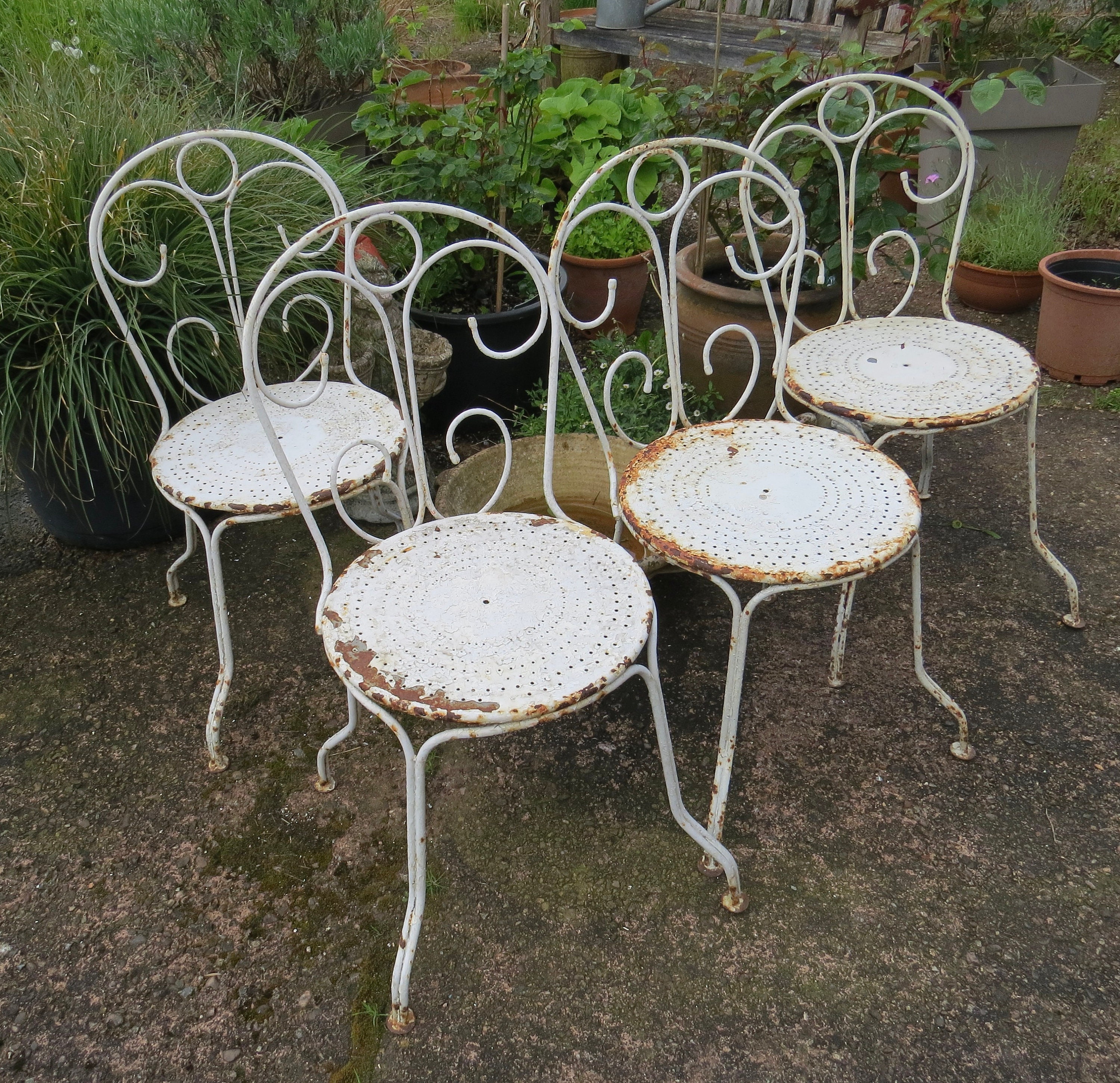100年前 1920年代 フランス アンティーク ガーデンメタルチェア FRENCH CLASSIC GARDEN Chairs. Set of Four. Mid 20th Century