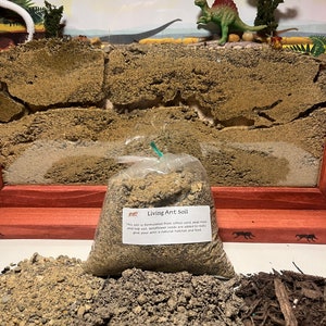Ant Farm Replacement Soil 1 lb. of Premium Natural Clean Soil for Ant Farms, Terrariums, Vivarium&#39;s and Reptile and Amphibian Habitats