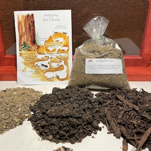 May include: A bag of Living Ant Soil, a brown ant farm, and a diagram of an ant colony with the text "Anatomy of an Ant Colony". The soil is formulated from sifted sand, peat moss, and topsoil. Wildflower seeds are added to give your ants a natural habitat and food.