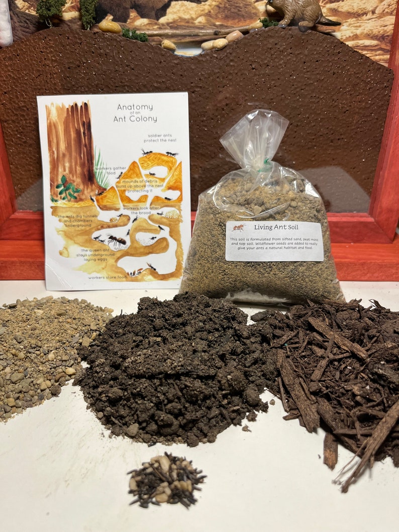 May include: A bag of Living Ant Soil, a brown ant farm, and a diagram of an ant colony with the text "Anatomy of an Ant Colony". The soil is formulated from sifted sand, peat moss, and topsoil. Wildflower seeds are added to give your ants a natural habitat and food.