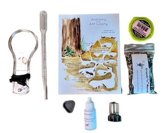Ant Farm Super Food Pack (food and drink plus dessert treat for your hard-working ants)