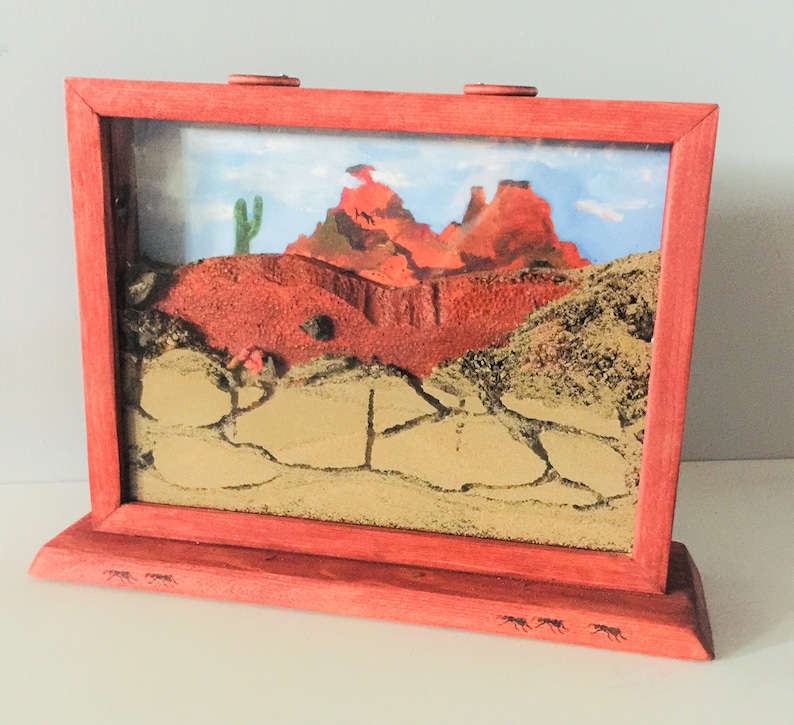 May include: A red wooden ant farm with a desert scene inside. The scene includes a cactus, red rock formations, and a sandy area with ant tunnels.