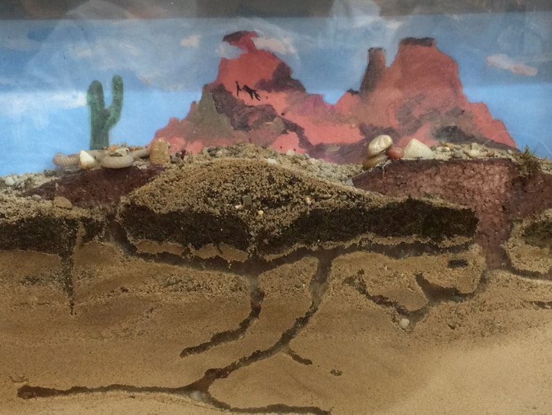May include: A cross-section of an ant farm, showing the tunnels and chambers of an ant colony. The top of the farm features a desert landscape with a cactus and red rock formations.