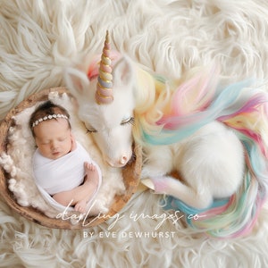 Newborn Digital Backdrop, Newborn Composite, Newborn Background, Unicorn backdrop, pastel colours, white wool fluff image 1