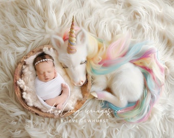 Newborn Digital Backdrop, Newborn Composite, Newborn Background, Unicorn backdrop, pastel colours, white wool fluff