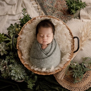 Newborn Digital Backdrop, Newborn Composite, Newborn Digital, real succulents with boho setup