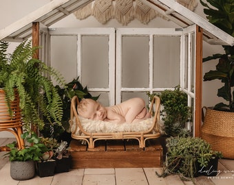 Newborn Digital Backdrop, Newborn Composite, Newborn Background, Boho Greenhouse with plants
