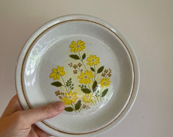 Vintage Dinner Set of Color Stone by Nikko Plates Etsy UK