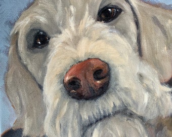 Custom Pet Portraits