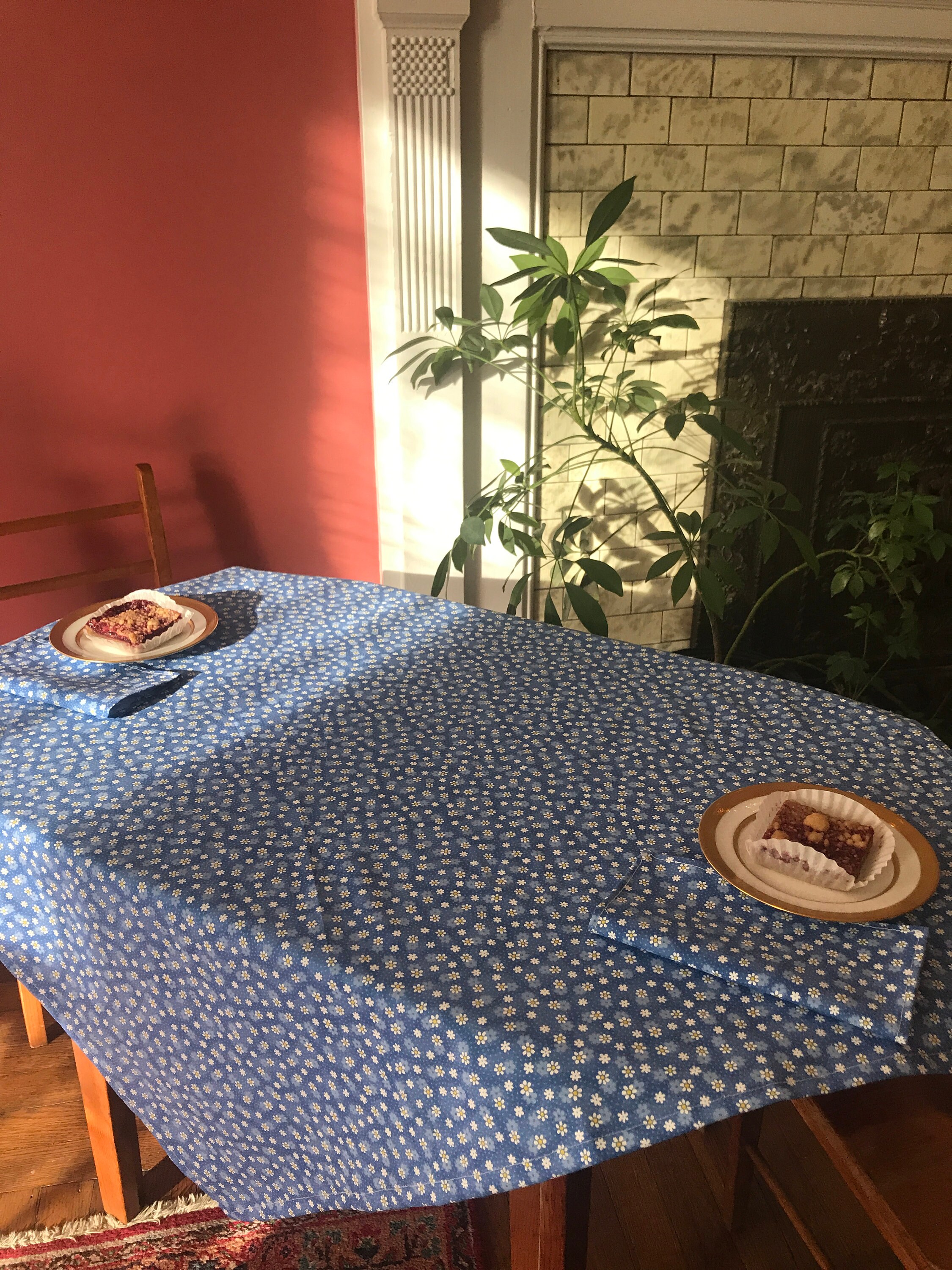 Toddler Tea Party Tablecloth Napkins Set Princess Party Play Table Cloth Blue White Daisies