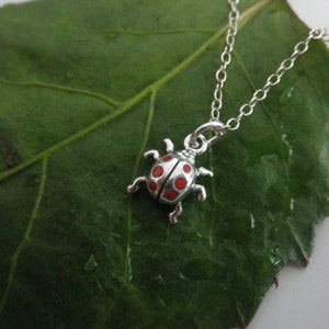 Lucky enamel ladybug