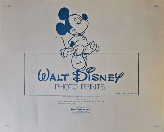 Vintage 1982 Walt Disney Photo Print Mickey and Minnie Pose With