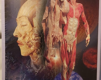 Von Hagens' Korperwelten Body Worlds Plastination 1000 Jigsaw Puzzle Anatomy, SEALED