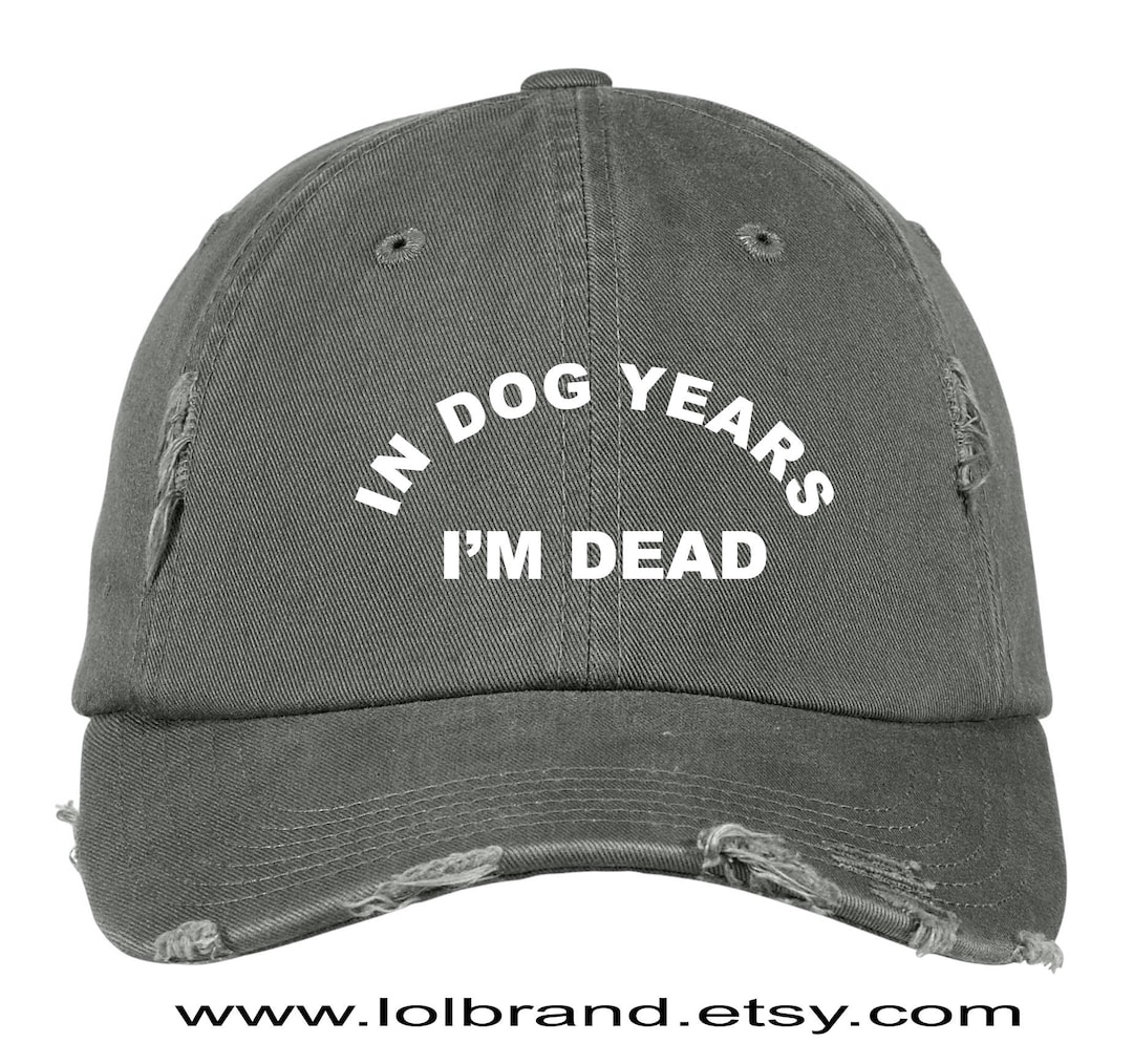 In Dog Years I'm Dead Black Distressed Twill Cap Beach Etsy