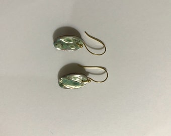 Oval seashells earrings