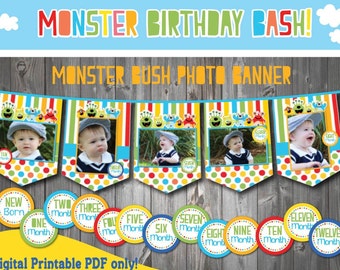 Instant Download Monster Birthday party Photo banner with 12 months sticker + Newborn sticker-First Birthday Party-1st Birthday Party