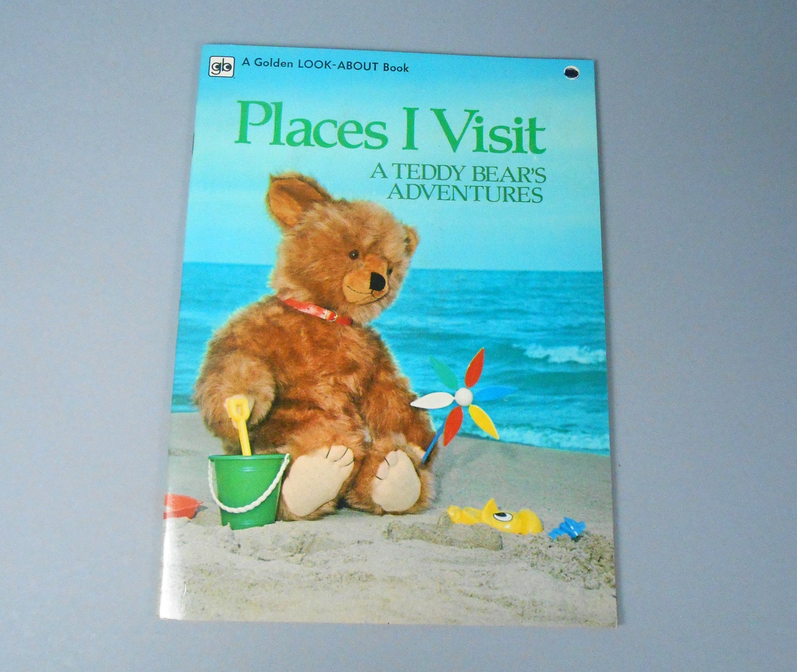 Teddy Bear Adventure Book Places I Visiit Golden Look About | Etsy