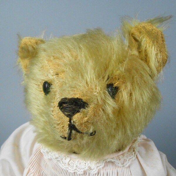 Antique Mohair Teddy Bear Gold in vintage dress