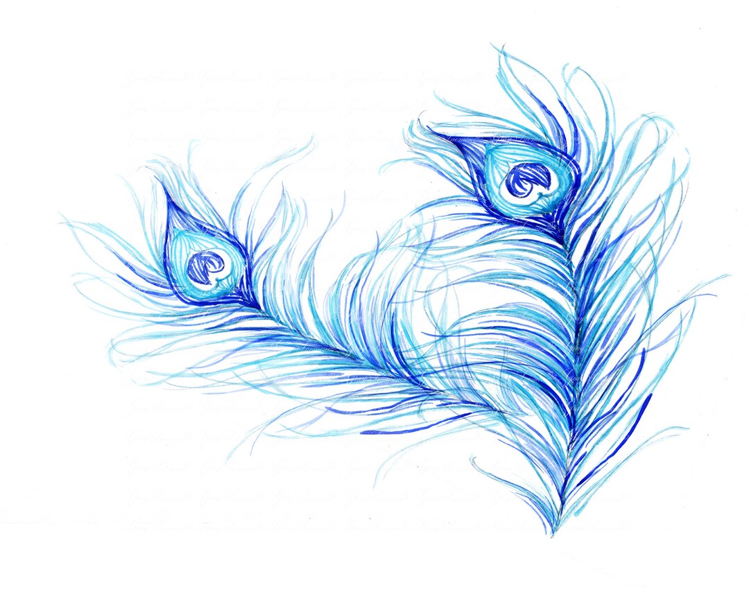 Peacock Feather printable Digital Download - Etsy