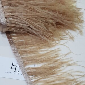 Fleco de plumas de avestruz marrón, adorno de plumas con cinta, pluma de avestruz natural, decoración de plumas, cortado a medida, MC013