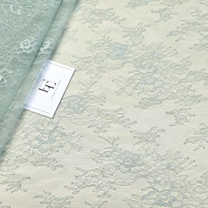 Mintgrüner Spitzenstoff, leichte blassgrüne Farbe Französische Chantilly-Spitze, Brautschleier, Meterware, WR2010