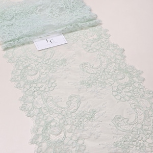 Mintgrüne Spitzenborte mit Kordel, Meterware, französische Chantilly-Wimpernspitze, EVSL194C