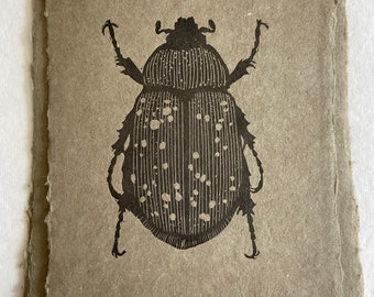 Beetle | Original Art | Block Print | Hand Carved | Hand Printed