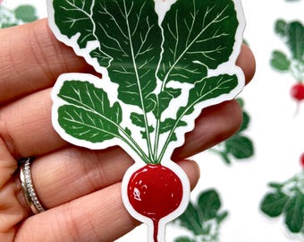 Radish Sticker. Based on Original Block Print. Sticker Art (3")