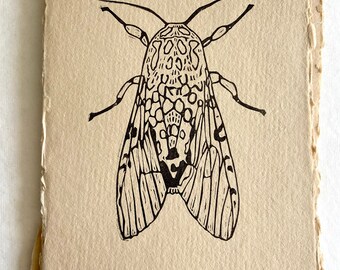 Leopard Moth | Hand Carved | Hand Printed | Original Art | Block Print