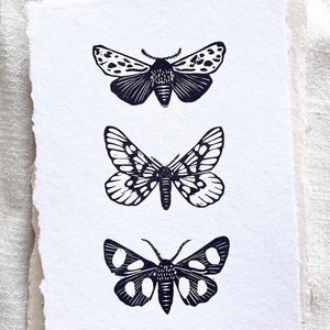 Moth Trio | Entomology Art | Hand Carved | Hand Printed | Original Art | Block Print | Unframed