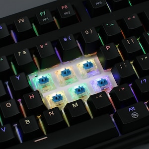 K&ouml;nnte beinhalten: Nahaufnahme einer schwarzen mechanischen Tastatur mit beleuchteten Tasten. Die schwarzen Tastenkappen sind sichtbar, und einige Tasten sind entfernt, wodurch blaue Schalter freigelegt werden. Die Tastatur verf&uuml;gt &uuml;ber verschiedene Funktionstasten und Symbole.