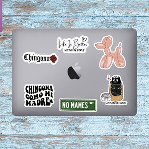 Pu&ograve; includere: Un laptop argentato con diversi adesivi. Gli adesivi includono un gatto nero in una scatola di pillole, un animale di palloncino rosa, un cartello stradale verde che dice "No Mames Way" e un adesivo bianco e nero che dice "Chingona Como Mi Madre".