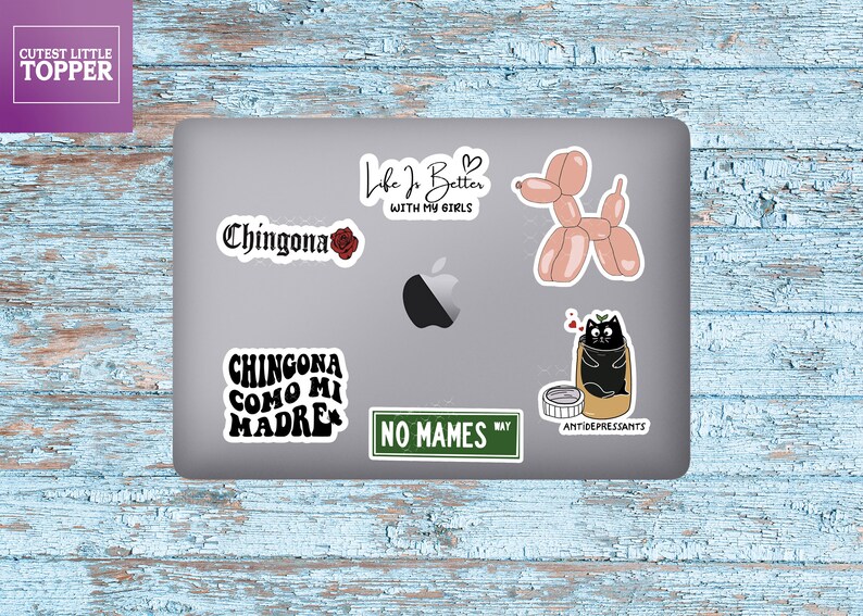 Pu&ograve; includere: Un laptop argentato con diversi adesivi. Gli adesivi includono un gatto nero in una scatola di pillole, un animale di palloncino rosa, un cartello stradale verde che dice "No Mames Way" e un adesivo bianco e nero che dice "Chingona Como Mi Madre".