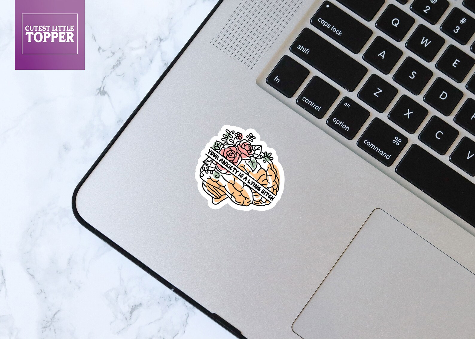 Icv Sticker Your Anxiety is a Lying B*itch Sticker, Anxiety Sticker, Mental Health ...