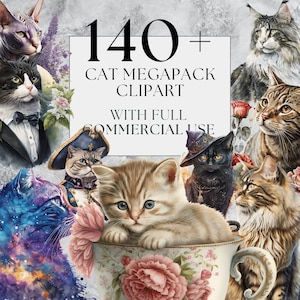 Chat Clipart Bundle Tabby chat Clipart smoking chat Floral chat Clipart utilisation commerciale Clipart aquarelle chat Clipart téléchargement instantané